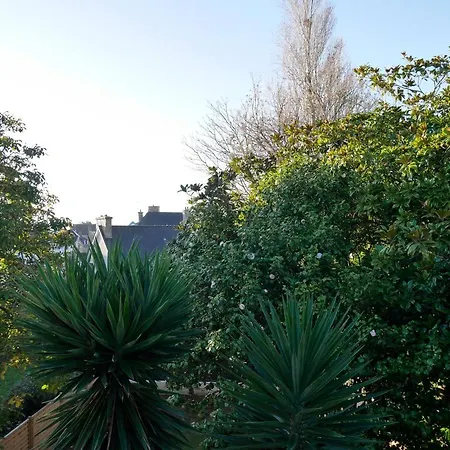 Apartment Clint House - 